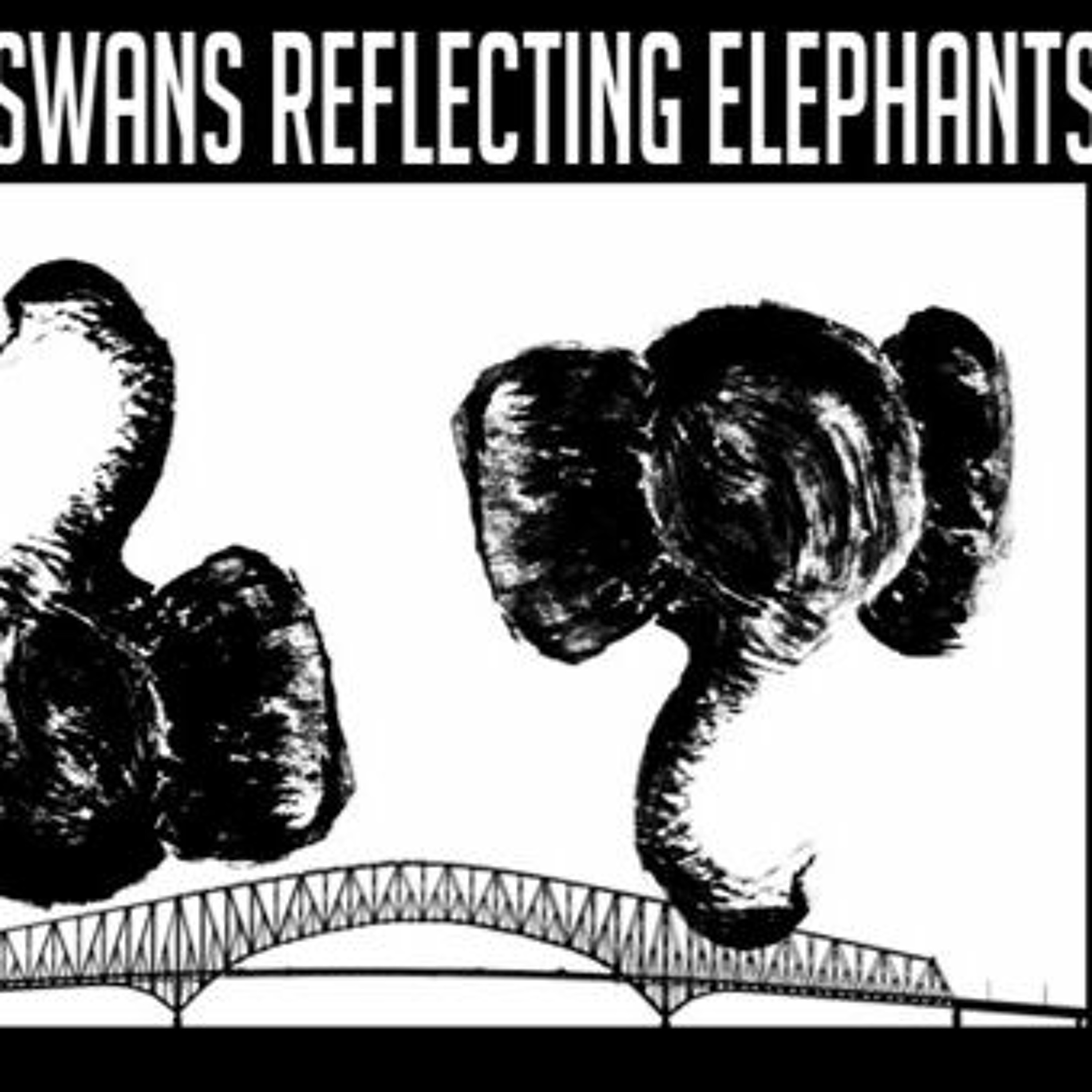 Show sample for 3/27/24: BLACK SWANS REFLECTING ELEPHANTS W/ JAMES PONDER
