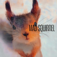 MAD SQUIRREL