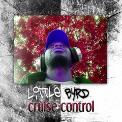 Cruise Control - little byrd