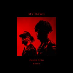 21 Savage & Metro Boomin - My Dawg (JCHO Remix)