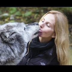 Stream One girl one wolf music | Listen to songs, albums ...