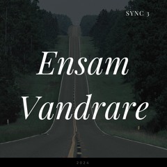 Ensam Vandrare