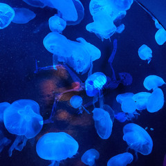 Fall Slowly (Feat. Culdesac Macc)