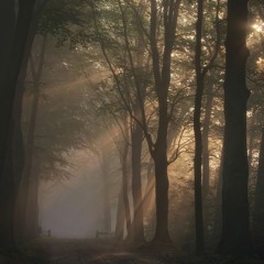 lloyd - all i need (guitar by diegorierad)