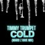 Timmy Trumpet "Cold" (Mario Z Rave Mix)