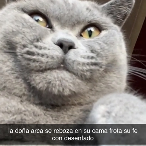 nothing on- official hq acapella