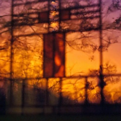 float like a butterfly