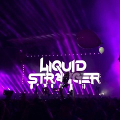 Liquid Stranger - Lost Lands 2019 Live Set