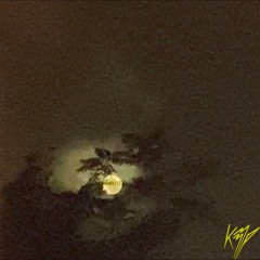 Fly Away ft. Halley Faye (prod. K33P)