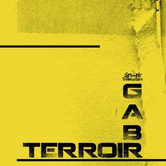 5 Nerk Gabr Terroir Syntax Error Remix