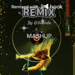 Lil Wayne x Lil Mabu - Hip Hop (feat. Jay Jones, BigXthaPlug) x I'M NOT a COP (with Dougie B) (@bethrebs Hook Mashup)