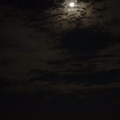 whydidntwelast (prod. svntana)