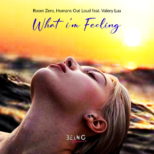 What I'm Feeling feat. Valery Lua (7' Radio Edit) [Being Humans]