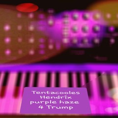 Tribute 2 Hendrix The Star Spangled Banner and Purple Haze dedic 2 Donald Trump