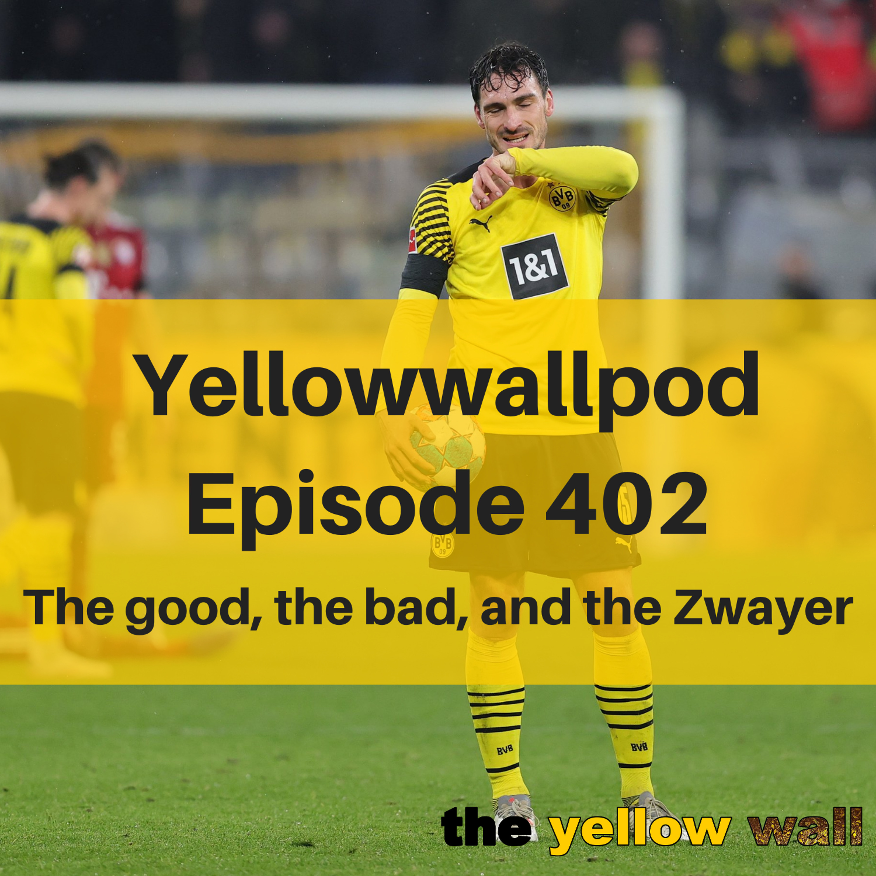 Yellowwallpod