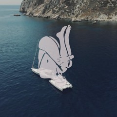 Black Fish - Ibiza (Orignial Mix)
