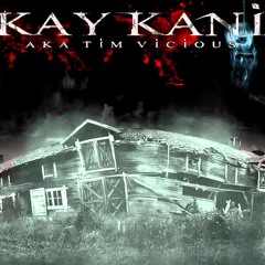 Kay Kani - timvicious