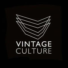 Vintage Culture - Fio Maravilha (Remix)