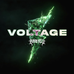Voltage
