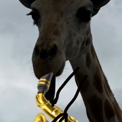 Autumn Leaves - Laufey Lin (Audible Voice)