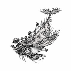 Slowly Collecting Substrate for the Giant Hericium Whale (feat. spaceseer)