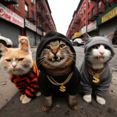 One Master Crew