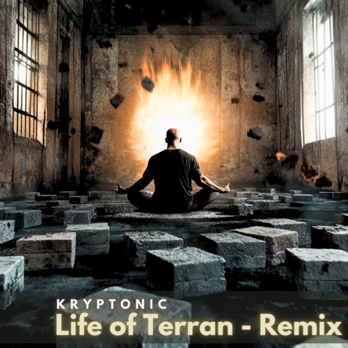 LIFE OF TERRAN - REMIX 2025