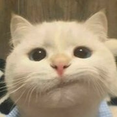 >_<