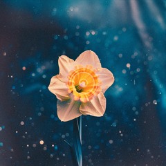 Mark Ronson - Daffodils (Mandalus Bootleg Remix)