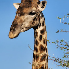 Top Places to Visit in South Africa