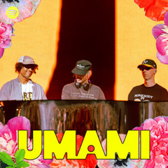 Umami 🌴🥥