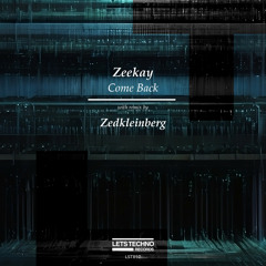 Zeekay - Come Back Home (Zedkleinberg Remix)