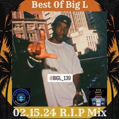 S.T.E Radio Presents: R.I.P Big L Mixtape