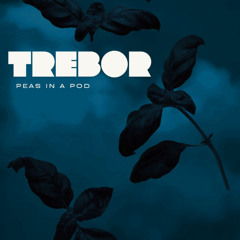 Trebor - Peas in a Pod (Radio mix)
