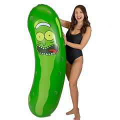 The song that plays when you are Amelia Earhart and you just landed on Pickle Rick Island