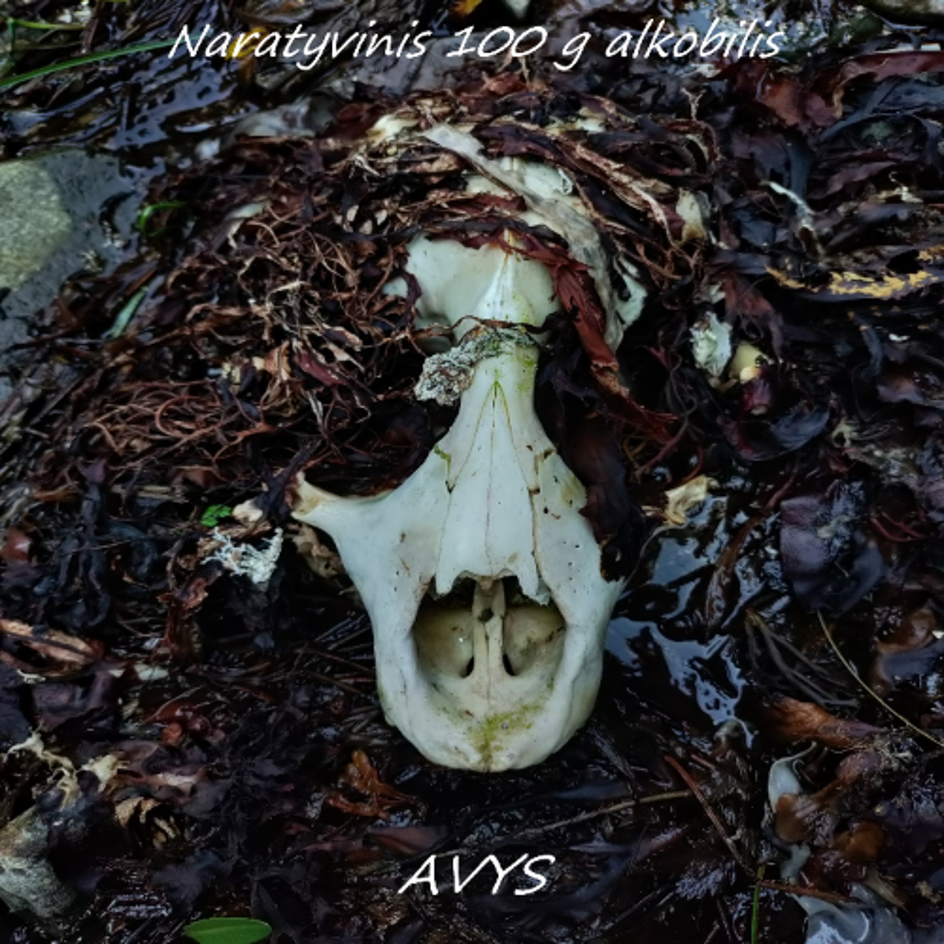 AVYS episode artwork