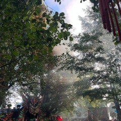 Lowrex @ Mystic Creatures 2025 (Freaky Forest)