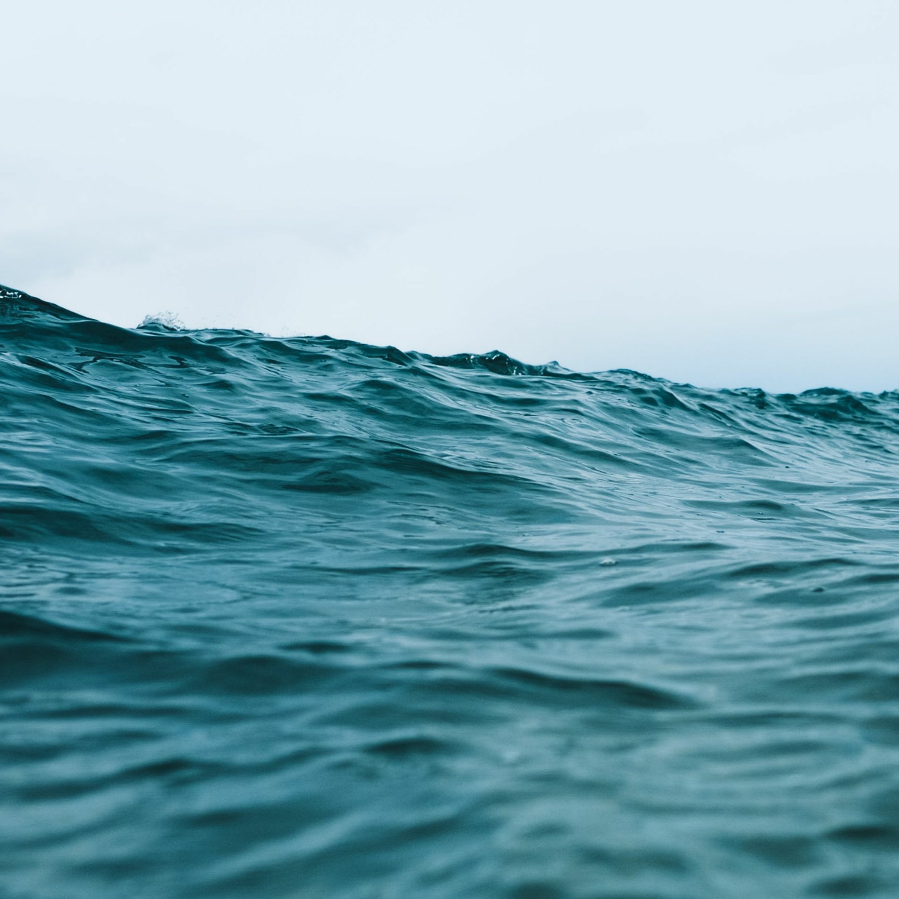 Mercredis Ecologie - Youmatter