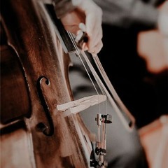 Tong Hua - Violin