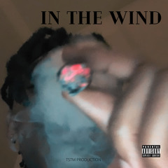 In The Wind ft. T Trendin