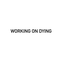WORKING ON DYING (prod. tenshixgod)