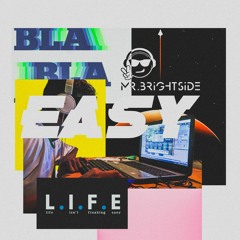 Mr. Brightside - Easy