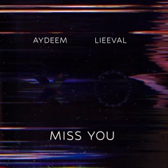 Aydeem & Lieeval - Miss You