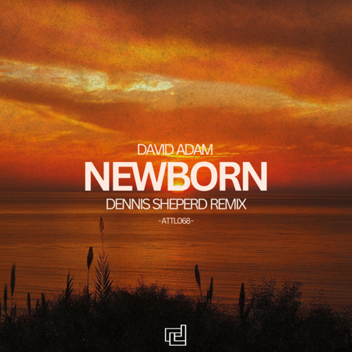 Newborn (Dennis Sheperd Remix)