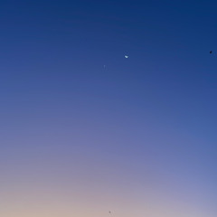 Sunset Booge.