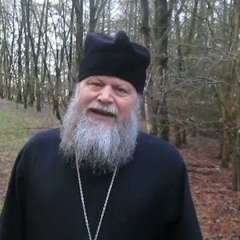 "where does evil come from?" - Father Spyridon