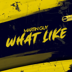 Martin Guy - What Like