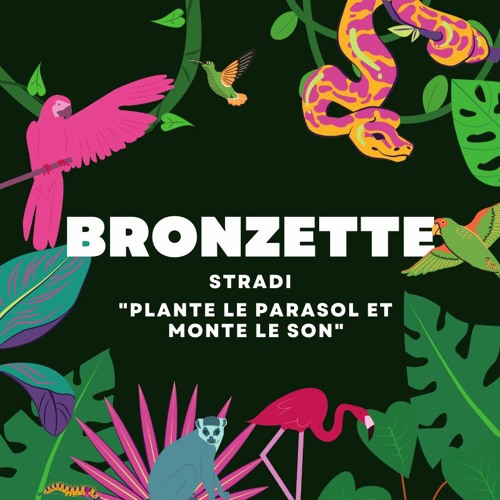 Bronzette