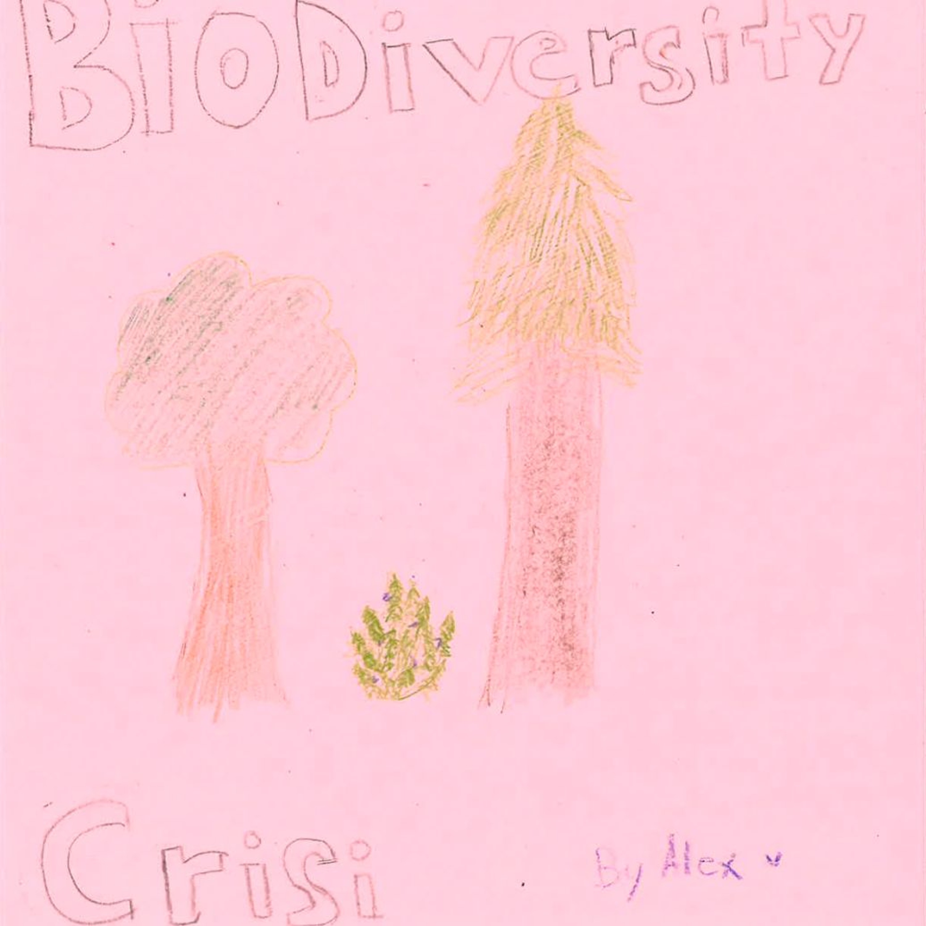 826 Valencia\'s Message in a Bottle