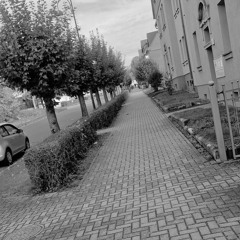 Die Zeit, die wir hatten